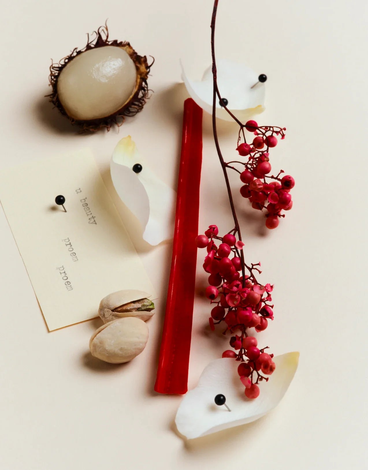 PROEM Eau de Parfum - Influencer Mailer